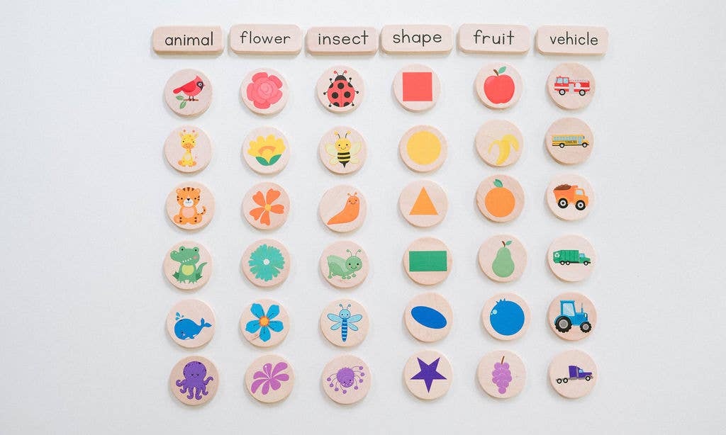 Preschool Sorting Game