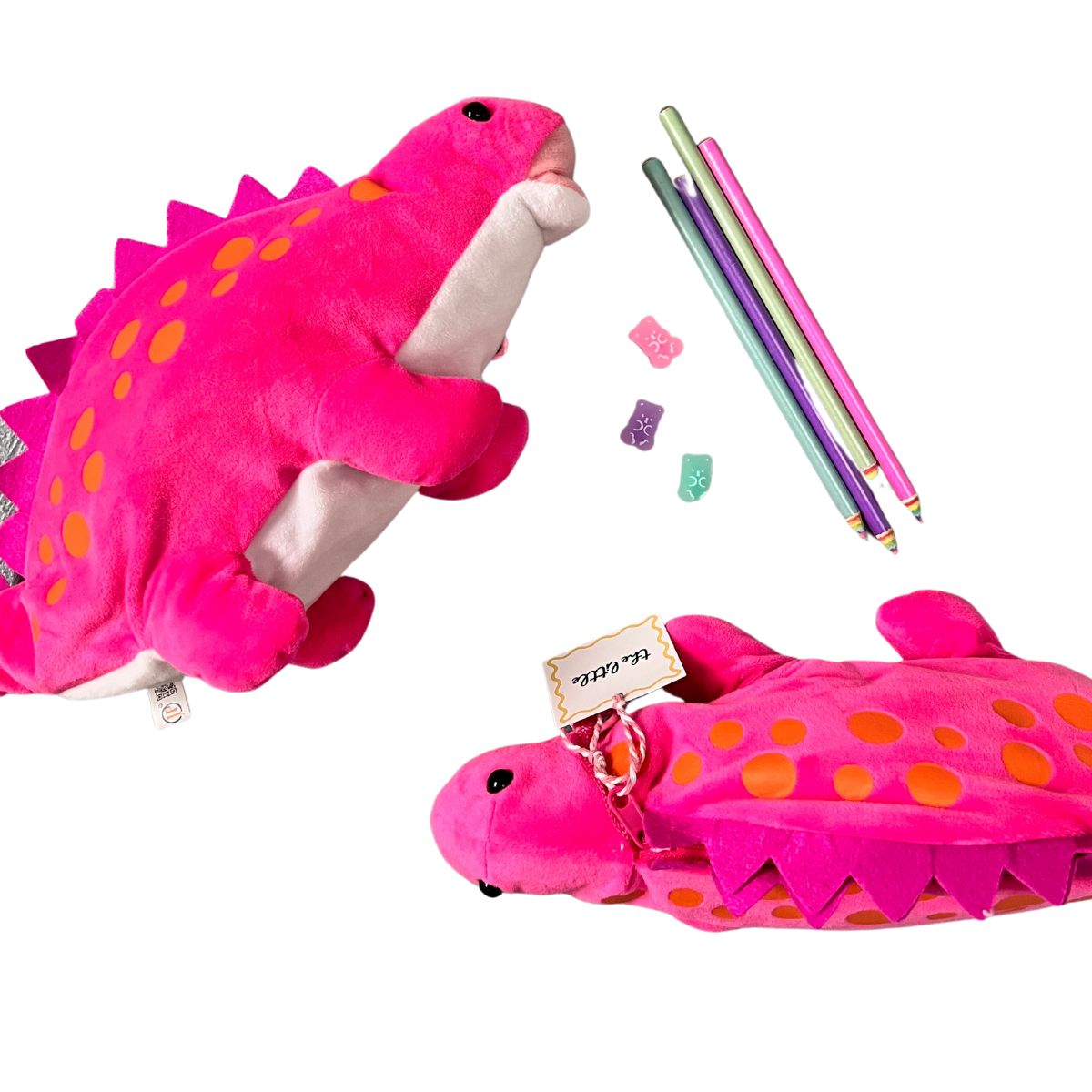 Dinosaur Pencil Pouch Set