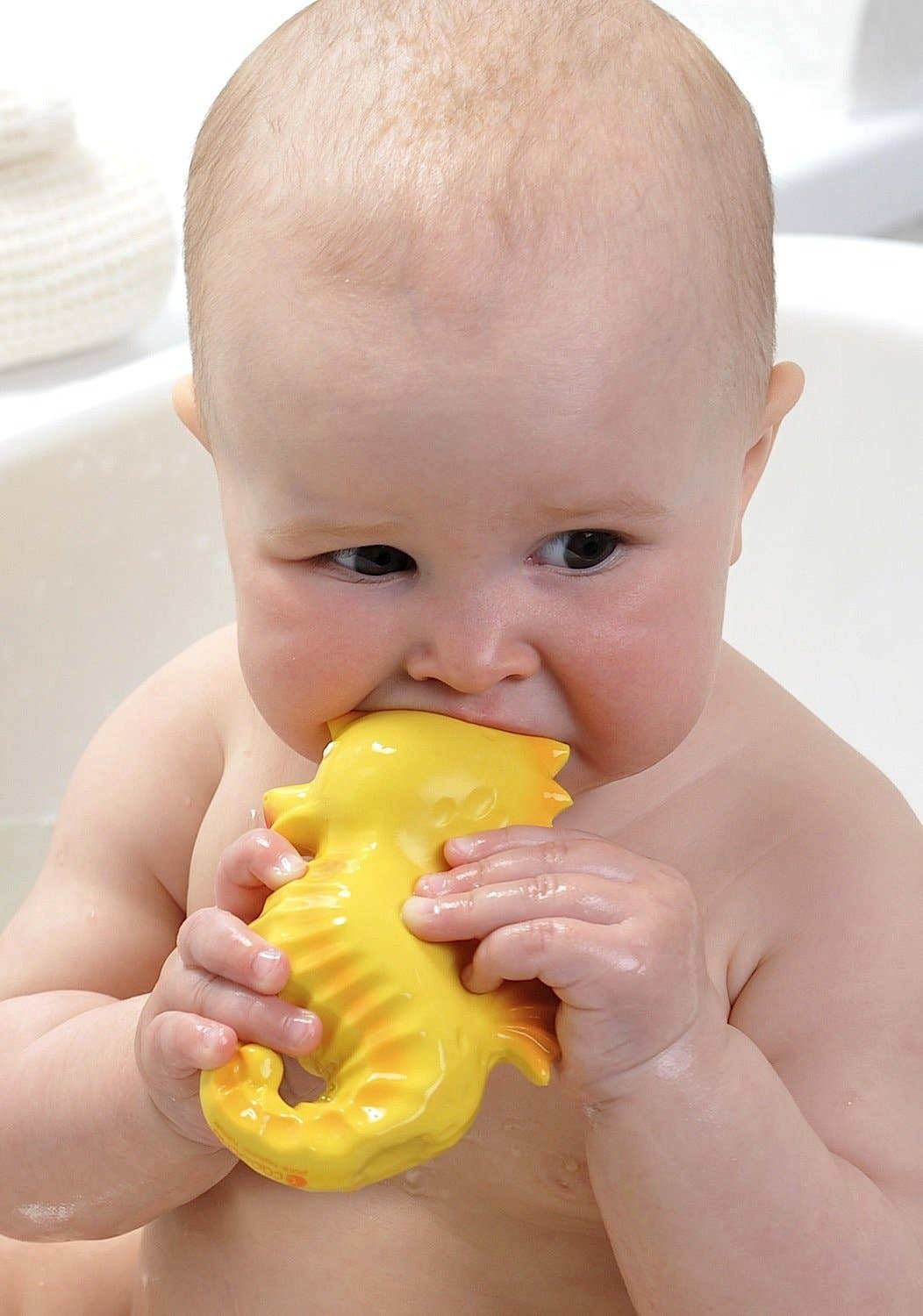 Natural Rubber Seahorse Non-Toxic Bath Toy, Mold-free design