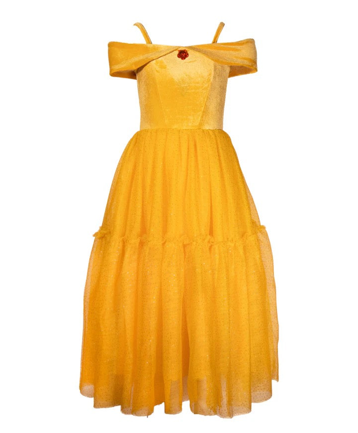 Enchanted Rose Princess Dress