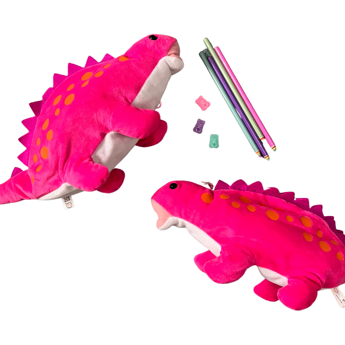 Dinosaur Pencil Pouch Set