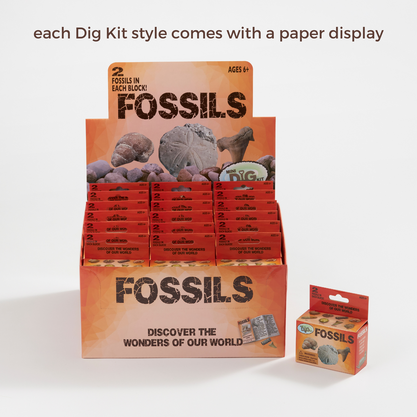 Mini Excavation Kit: Fossils