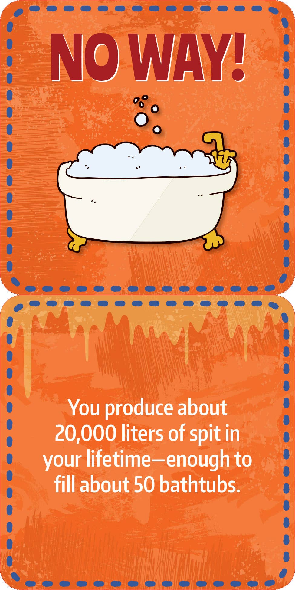 Lunch Box Notes for Kids - Gross Facts (60 cards)