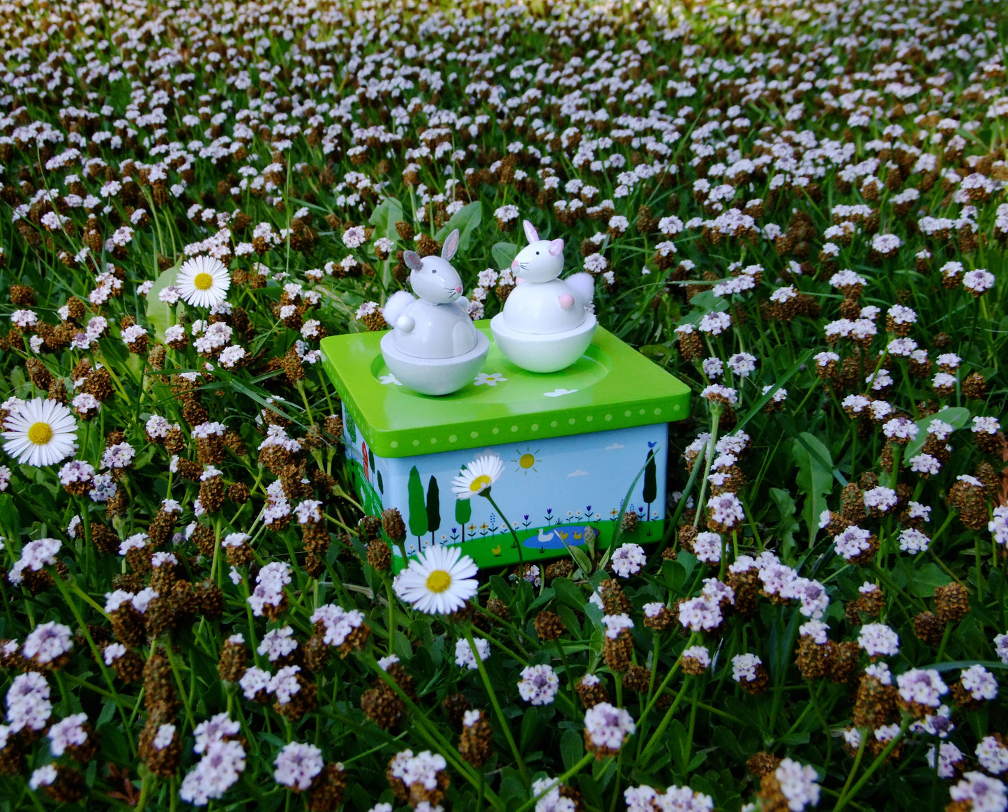 Dancing Bunnies Music Box