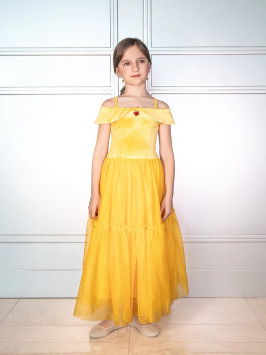 Enchanted Rose Princess Dress