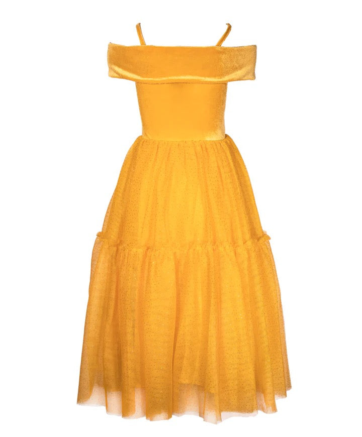 Enchanted Rose Princess Dress
