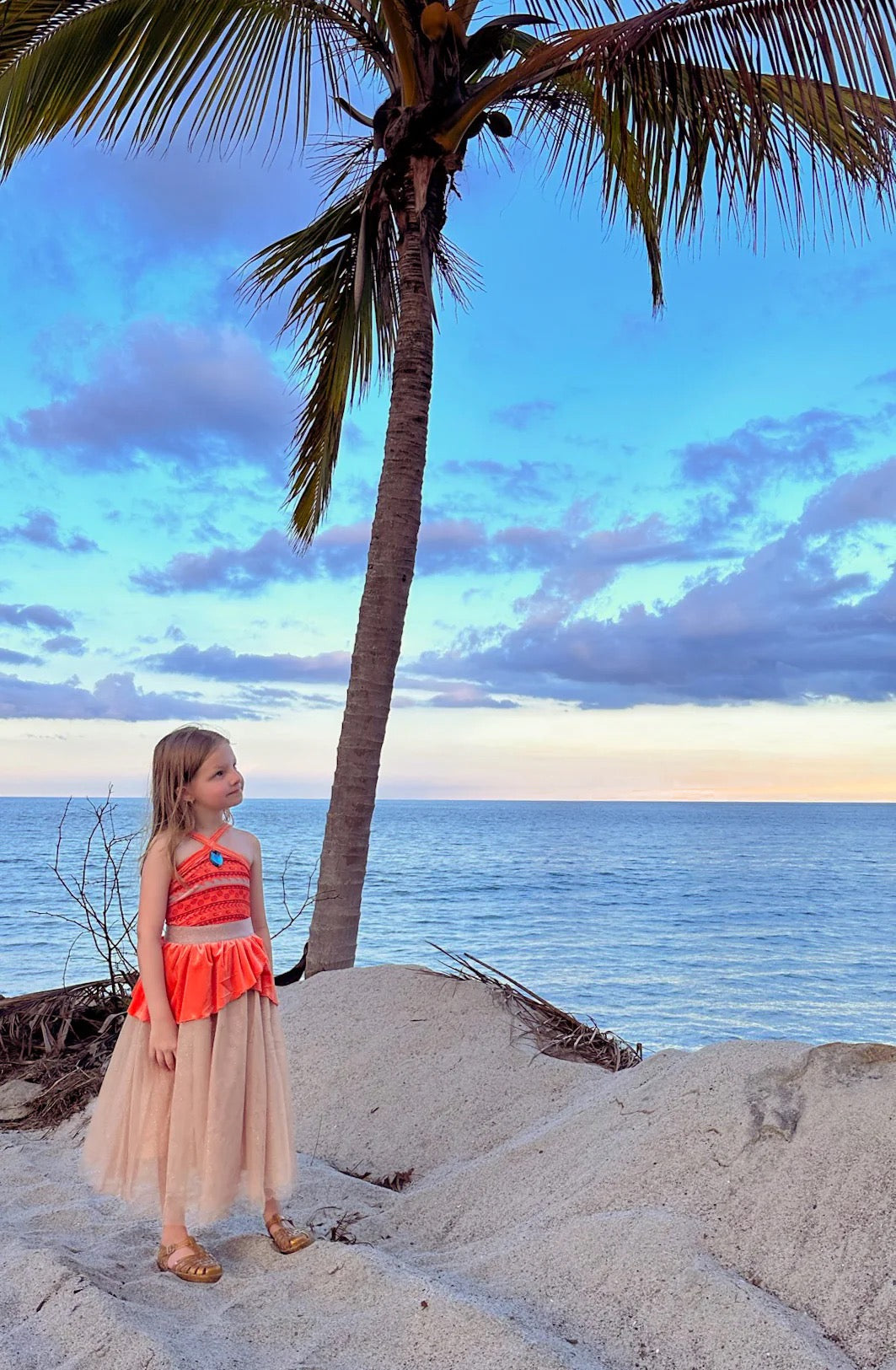 Island Princess Costume Dress