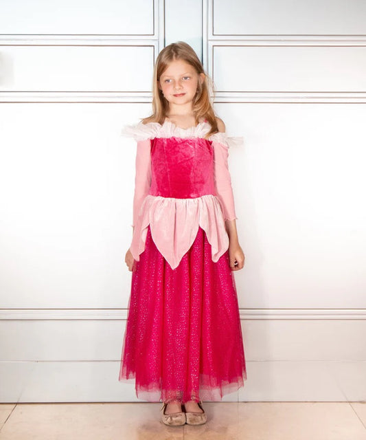 Sleeping Princess Costume Dress