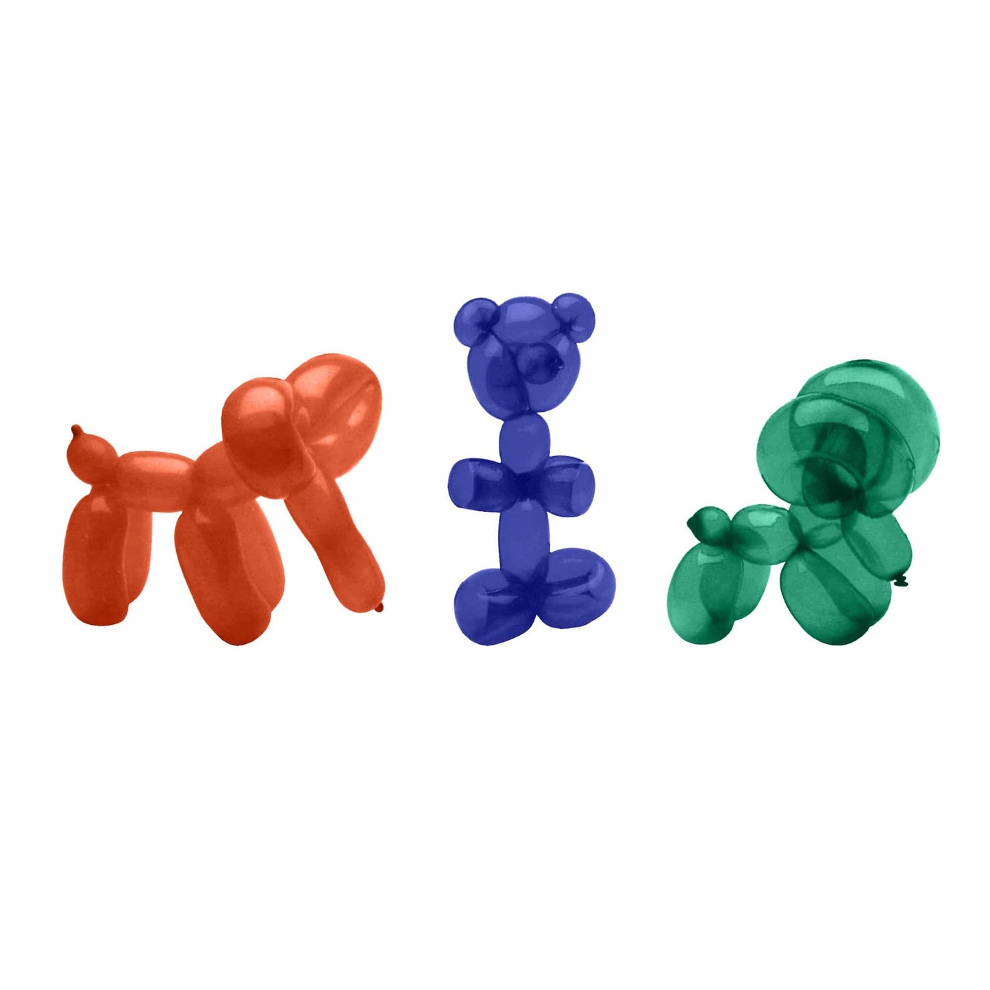 How to Make Balloon Animals Kit