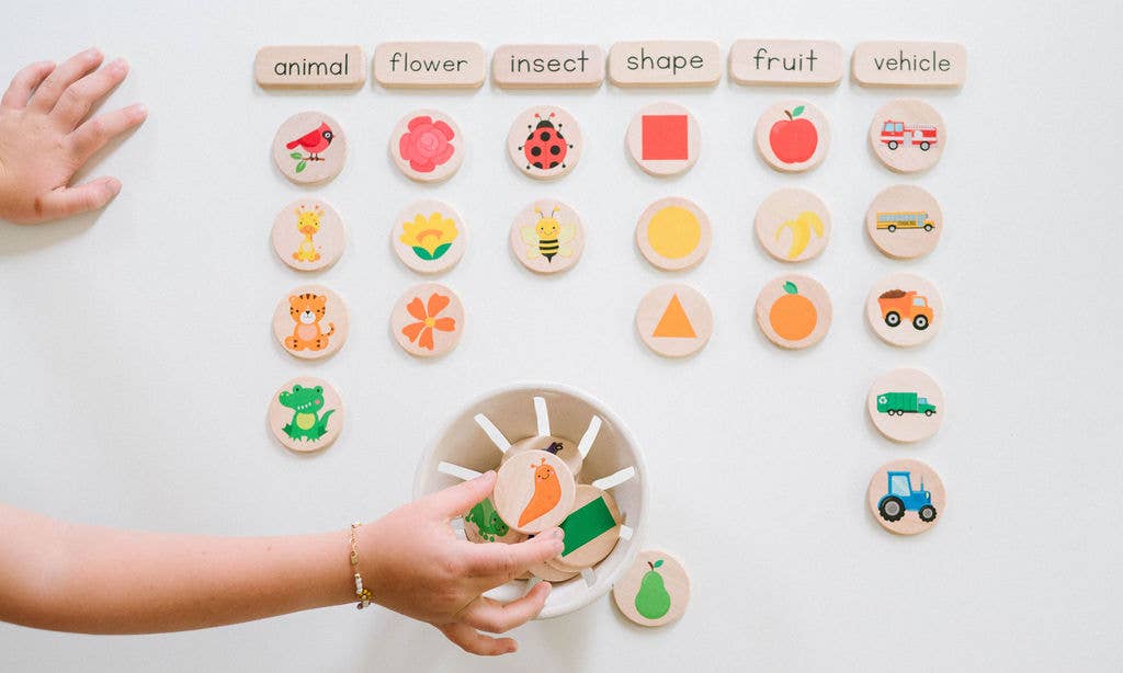 Preschool Sorting Game