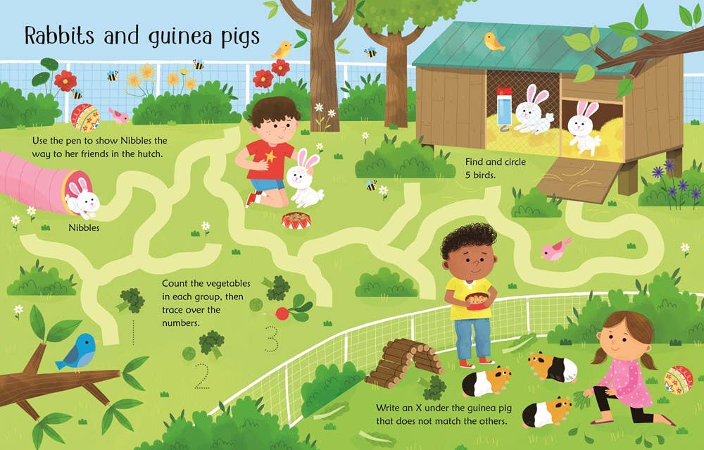 Wipe-Clean Pet Activities : Usborne
