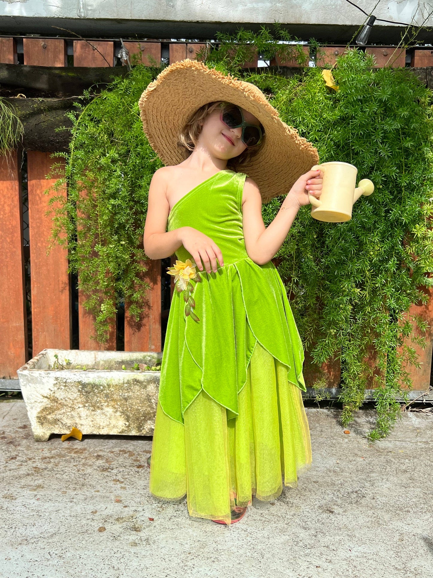 The Frog Princess or Tinker Fairy costume dress