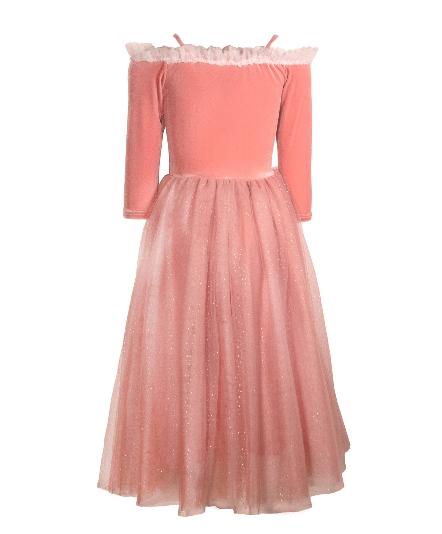 Sleeping Beauty Costume Dress