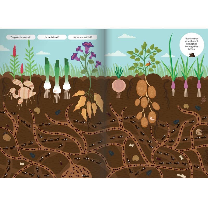 Activity Book - Find Me! Underground