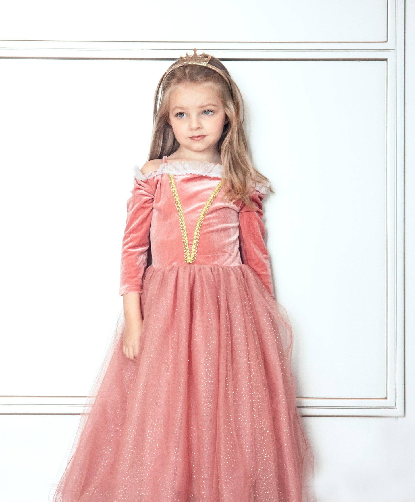 Sleeping Beauty Costume Dress