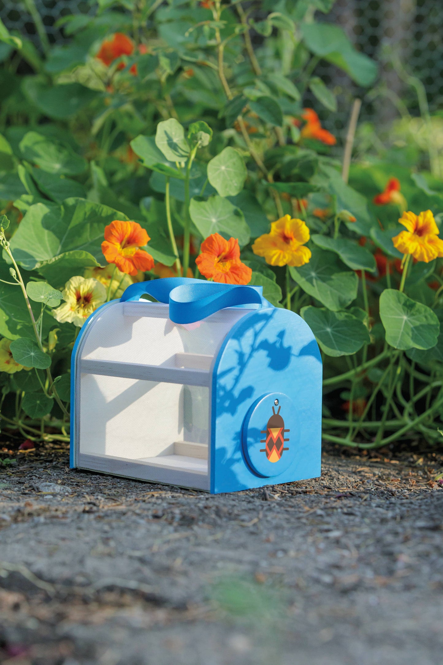 Beetle & Bee Critter Case FSC Certified Wood