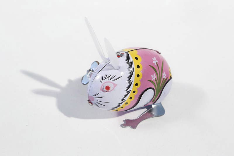 Small Jumping Rabbit