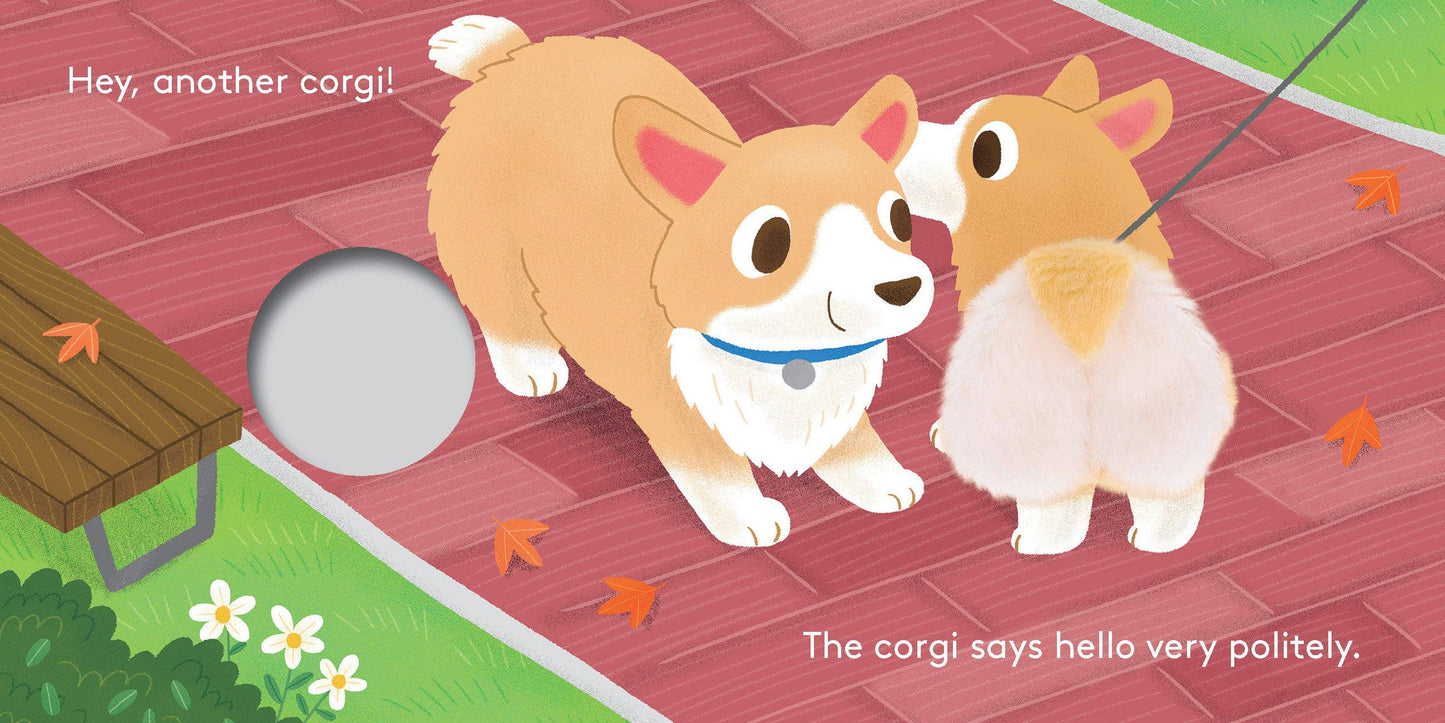 Baby Corgi Butt: Little Finger Puppet Book