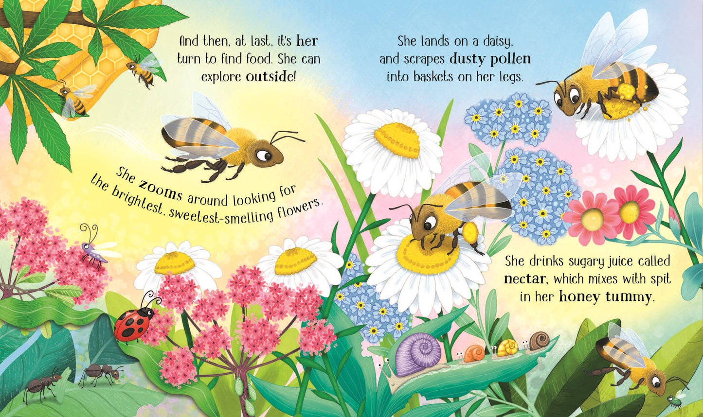 One Little Bee board book: Usborne