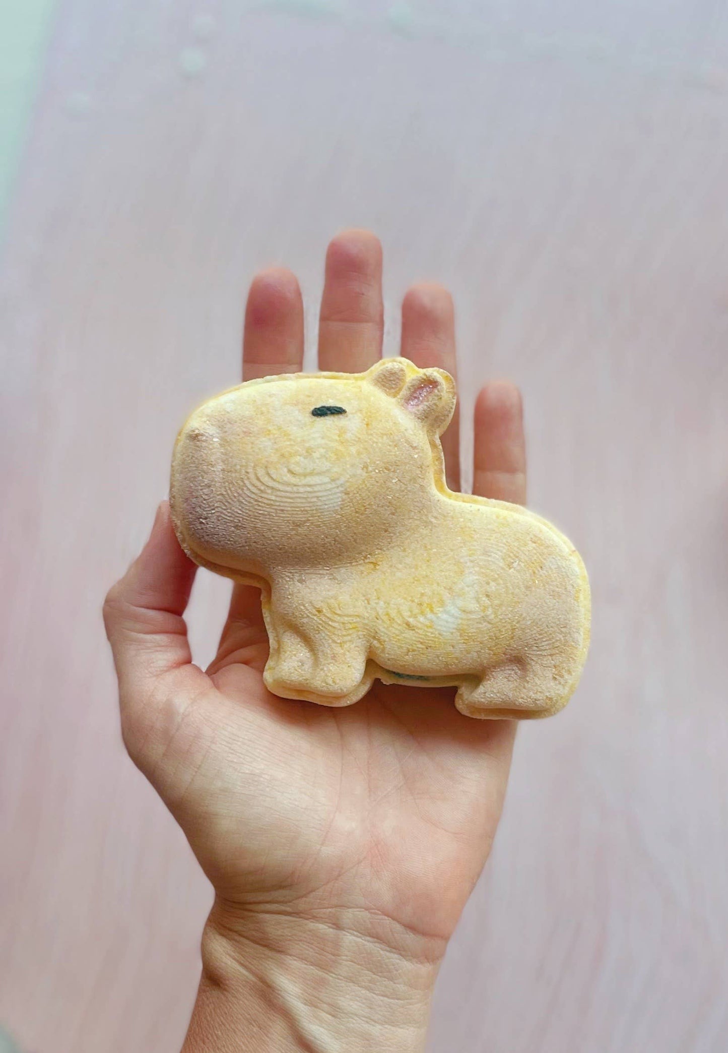 Capybara Bath Bomb