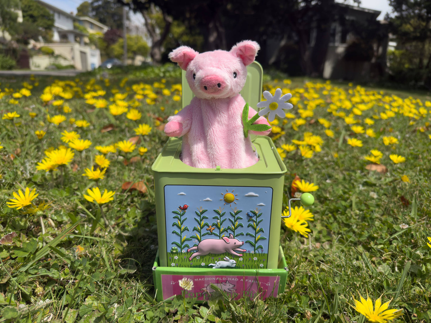 Poppy the Pig Jack in the Box