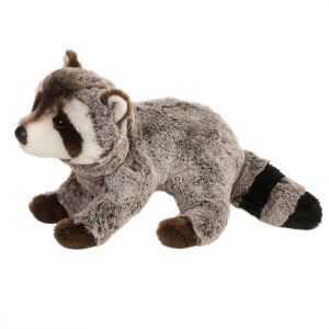 Ringo Raccoon