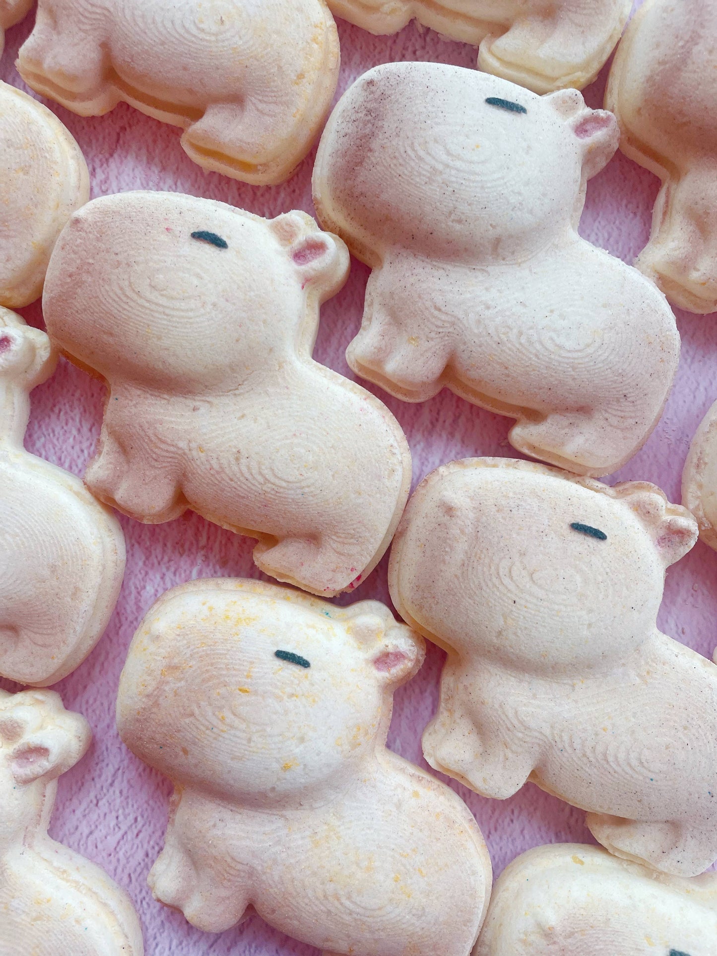 Capybara Bath Bomb