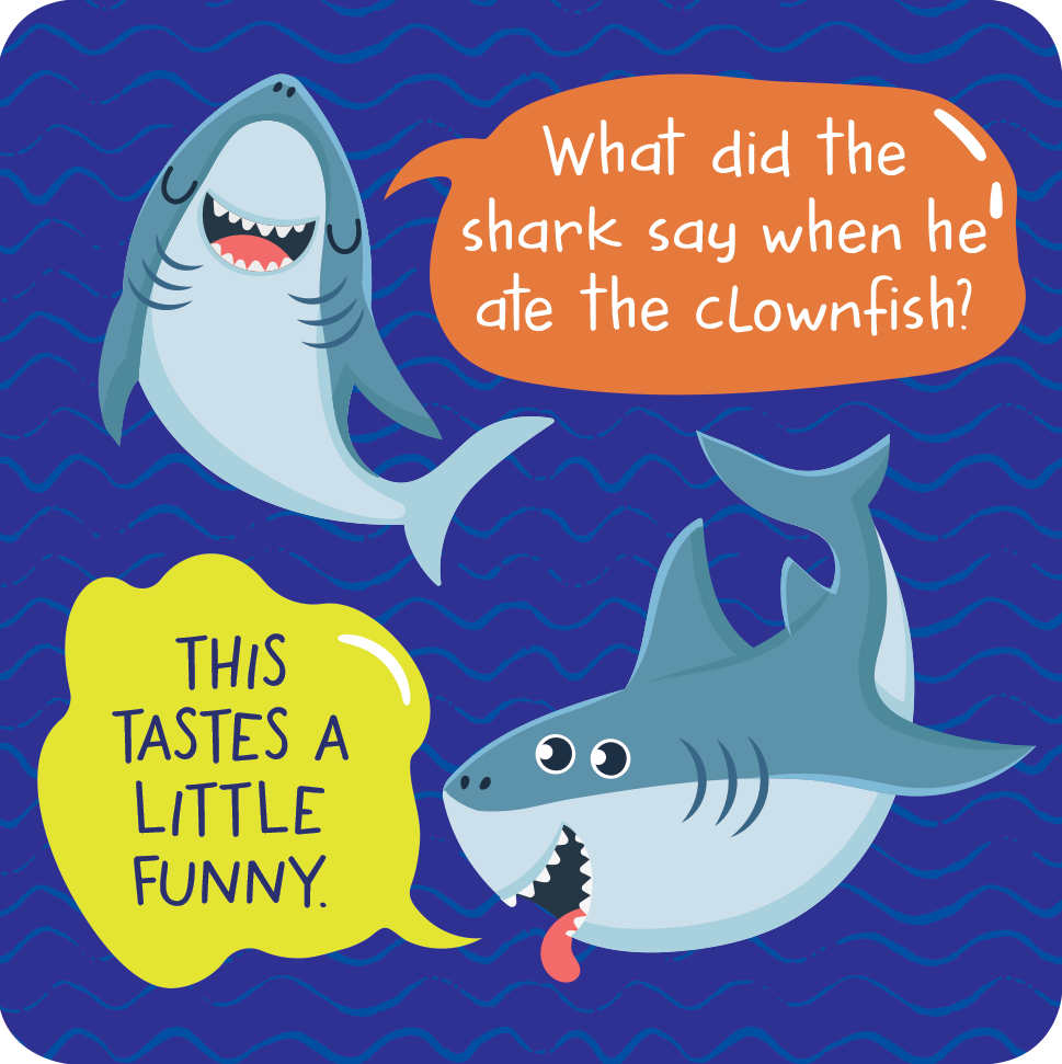 More Lunch Box Jokes Card Deck (60 cards)
