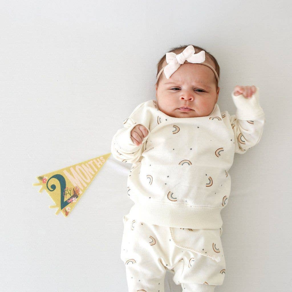 Little Artist Baby Milestone Pennant