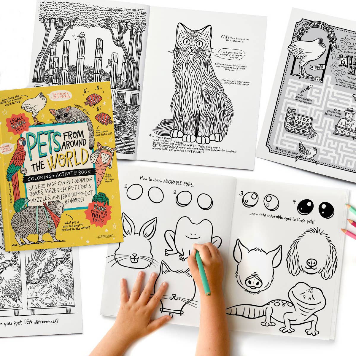 Pets From Around The World Coloring + Activity: Jokes, Comics, Mazes + MORE