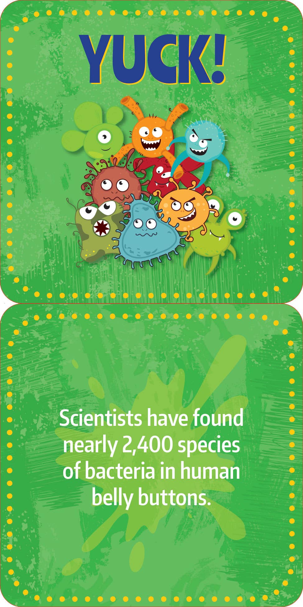 Lunch Box Notes for Kids - Gross Facts (60 cards)