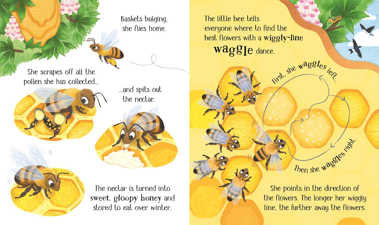 One Little Bee board book: Usborne