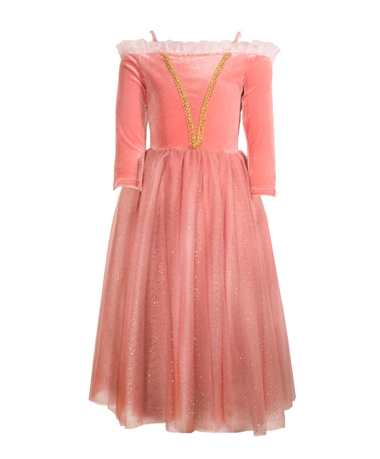 Sleeping Beauty Costume Dress