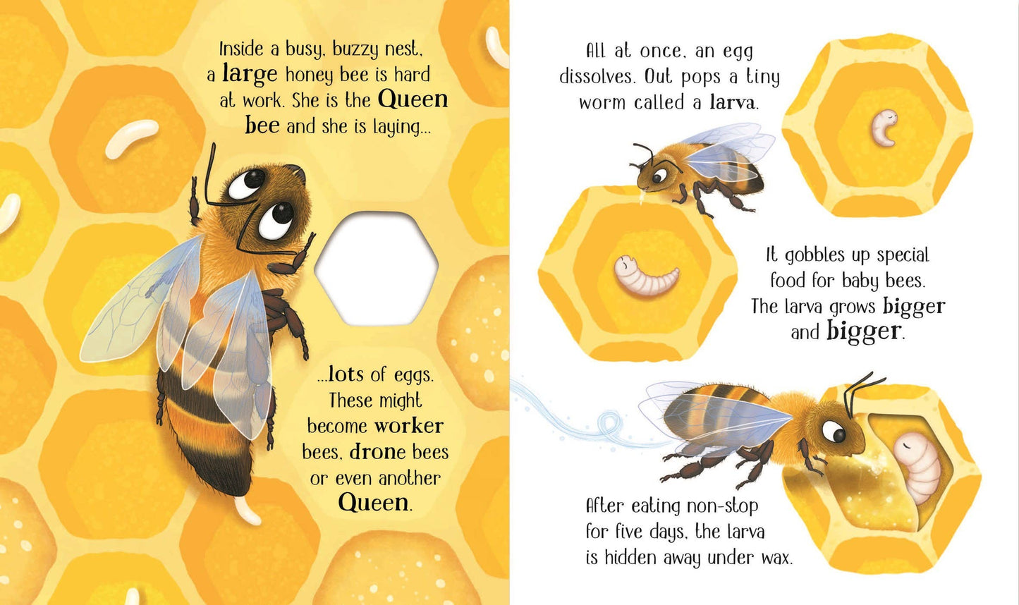 One Little Bee board book: Usborne