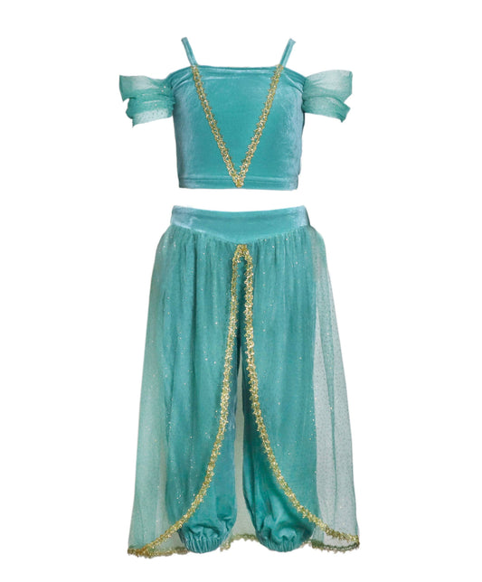 Arabian Princess Costume (XS) 2-3 years