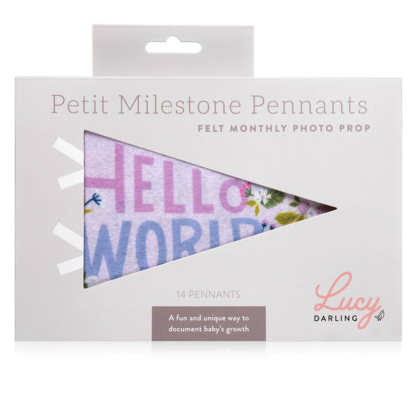 Little Artist Baby Milestone Pennant