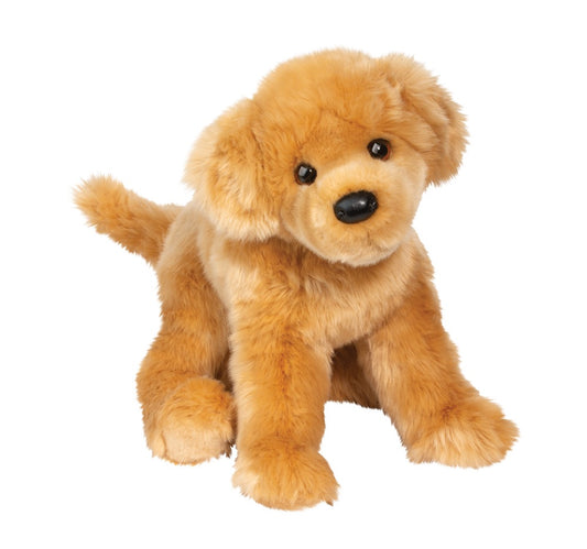 Bella Golden Retriever