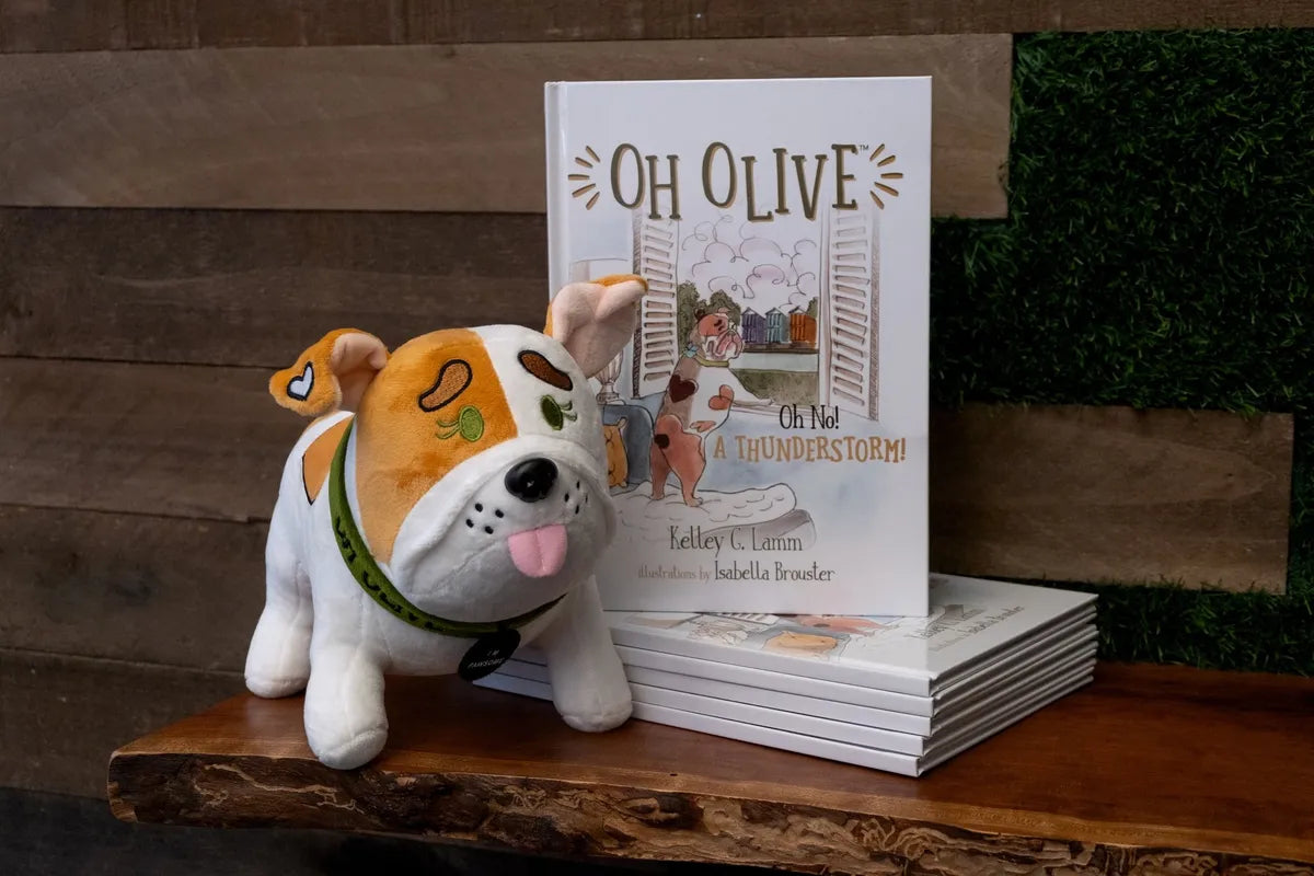 Oh Olive: Oh No! A THUNDERSTORM! by Kelley G. Lamm