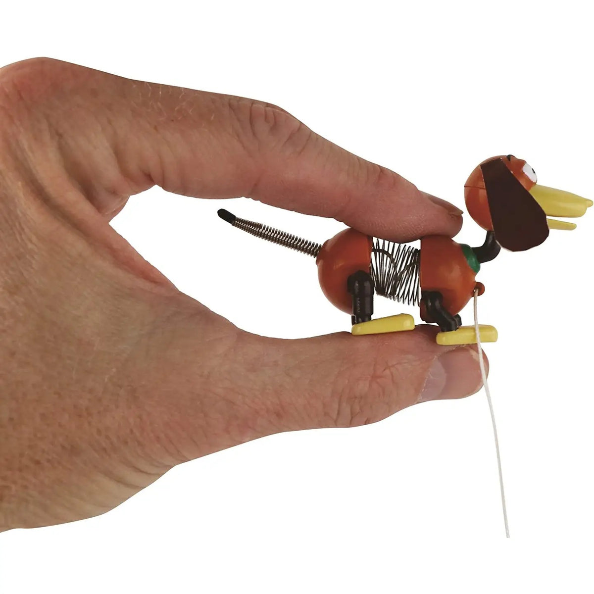 World's Smallest Slinky Dog