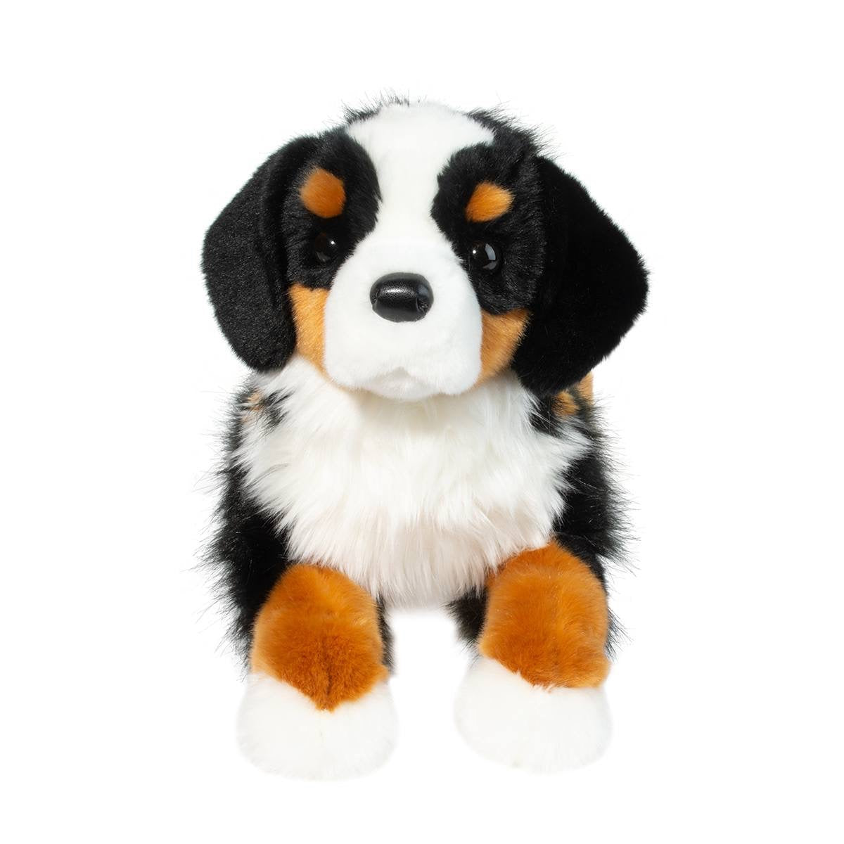 Trooper Bernese Mountain Dog