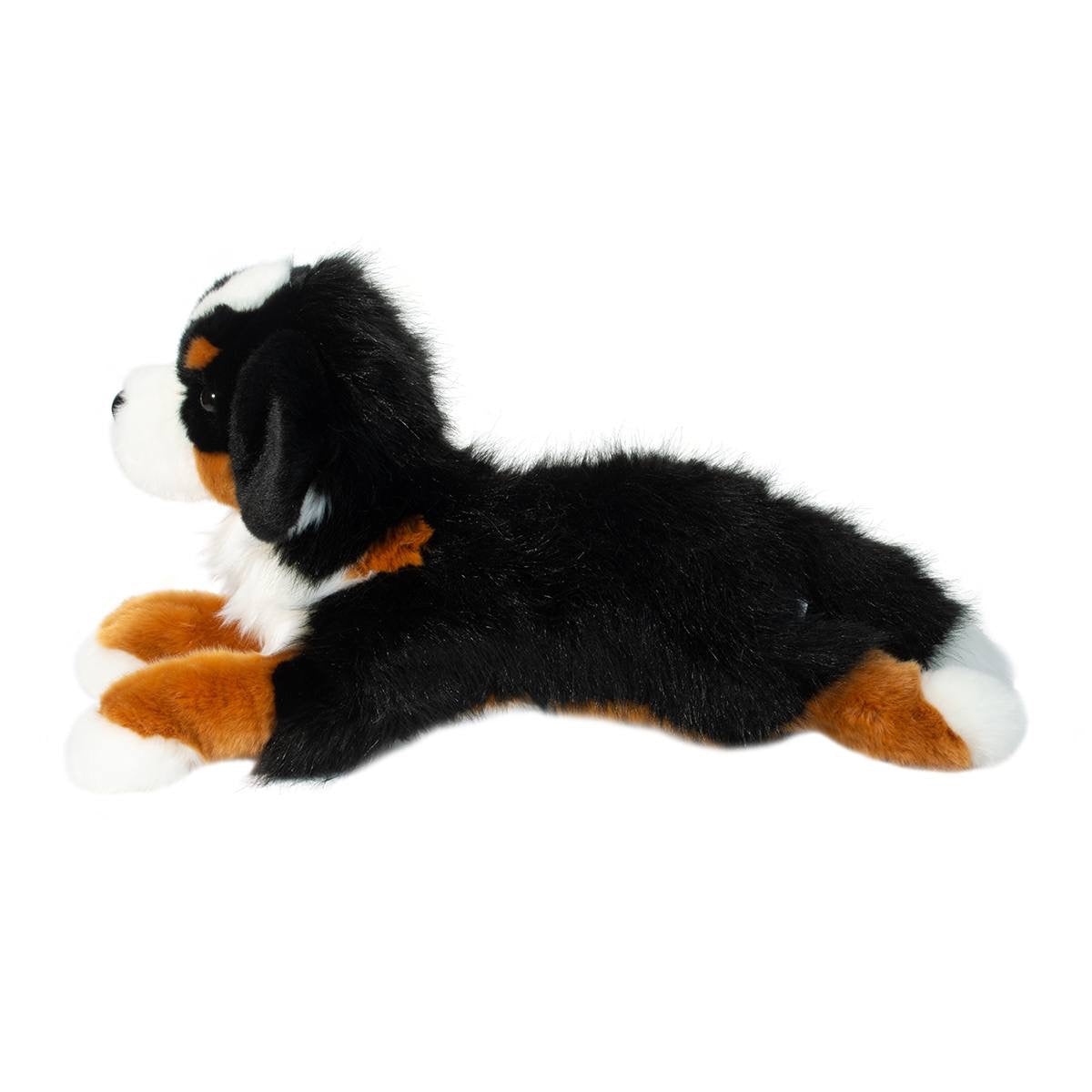 Trooper Bernese Mountain Dog