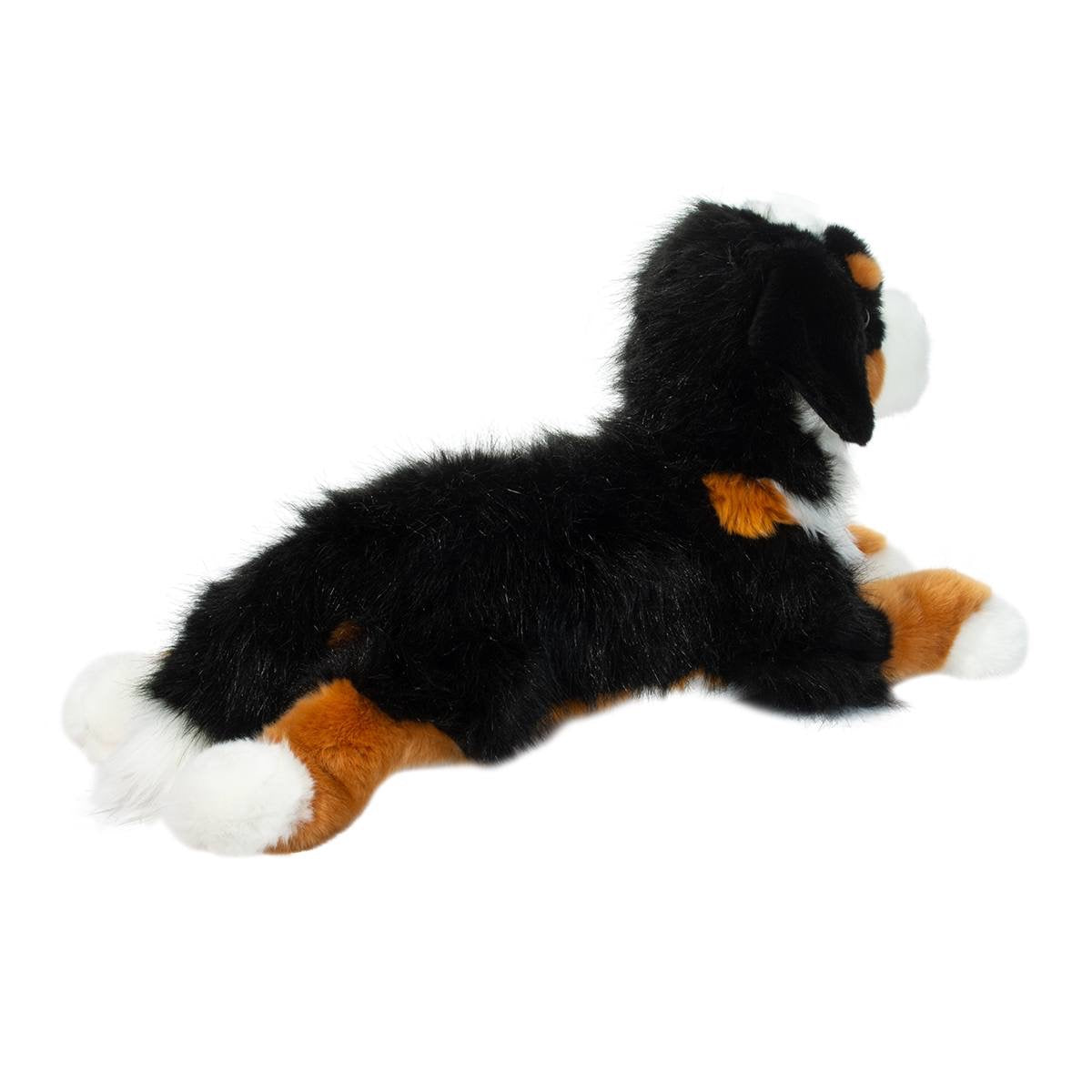 Trooper Bernese Mountain Dog