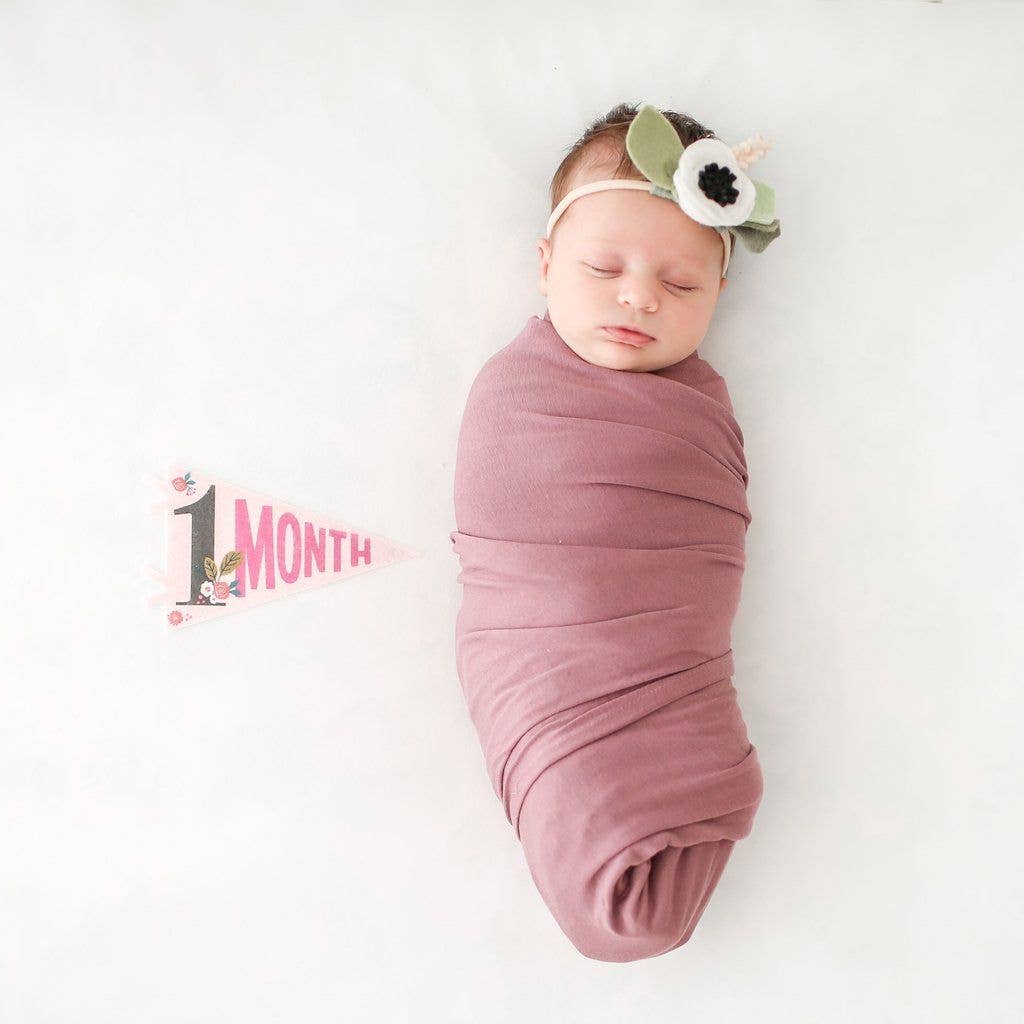 Little Artist Baby Milestone Pennant