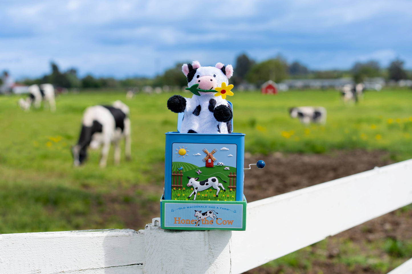 Honey the Cow Jack in the Box