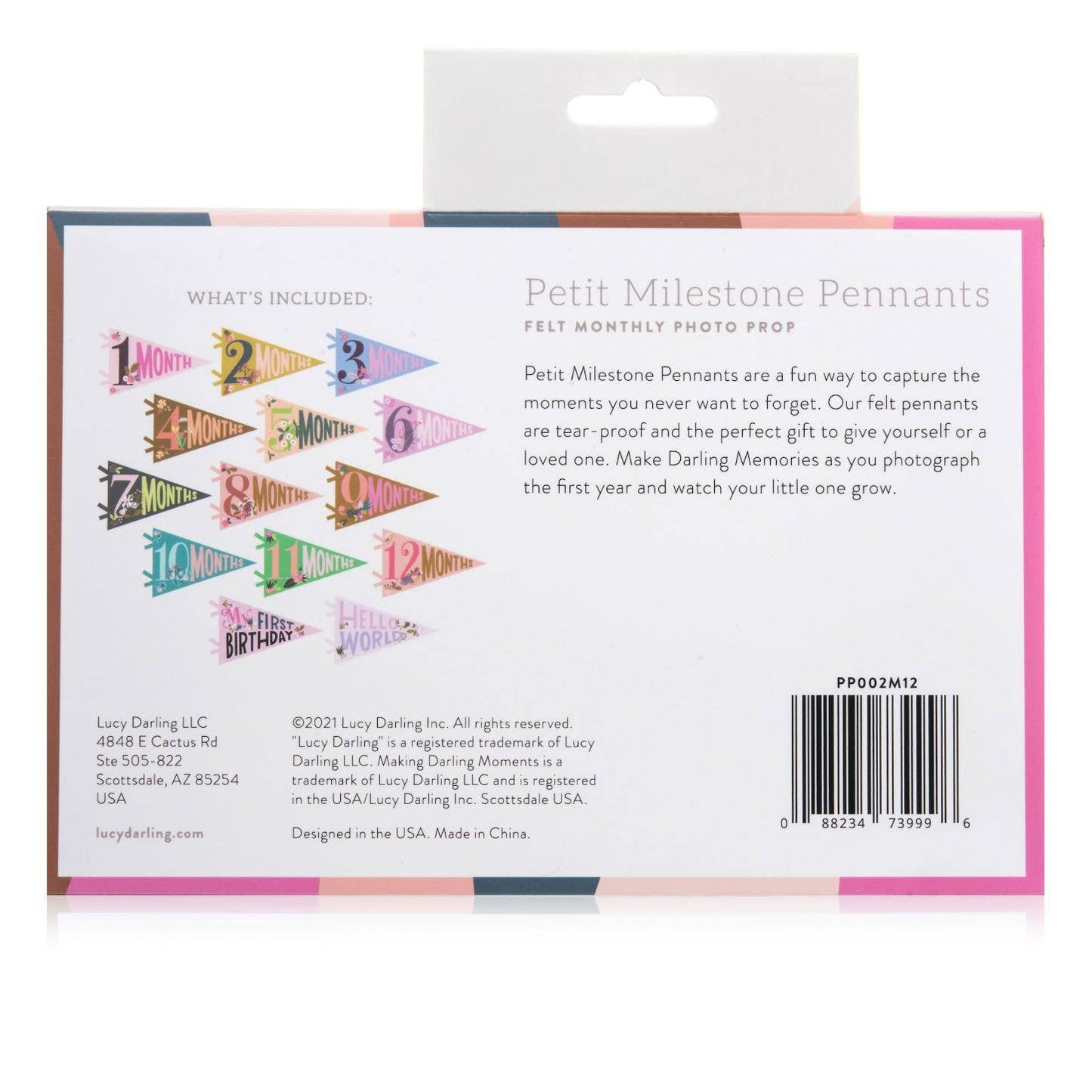 Little Artist Baby Milestone Pennant