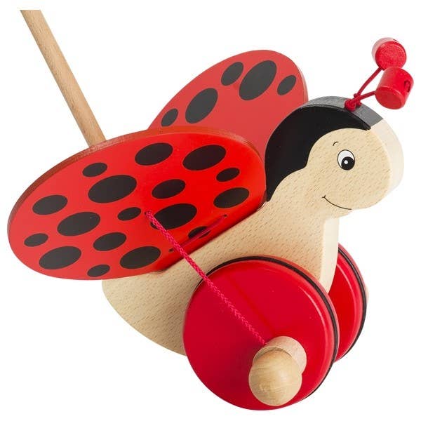 Push-along animal - Ladybird Florah