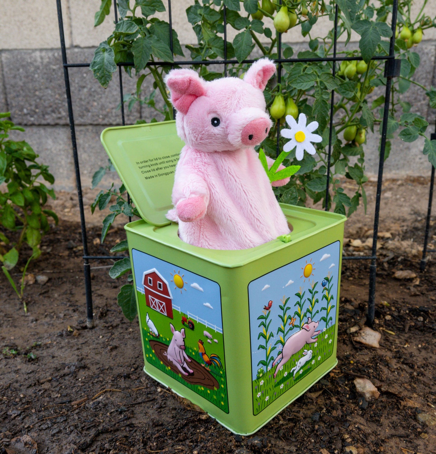 Poppy the Pig Jack in the Box