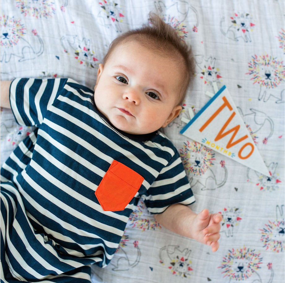 Little Kaleidoscope Baby Milestone Pennant