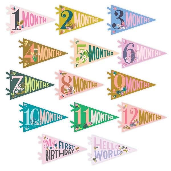 Little Artist Baby Milestone Pennant
