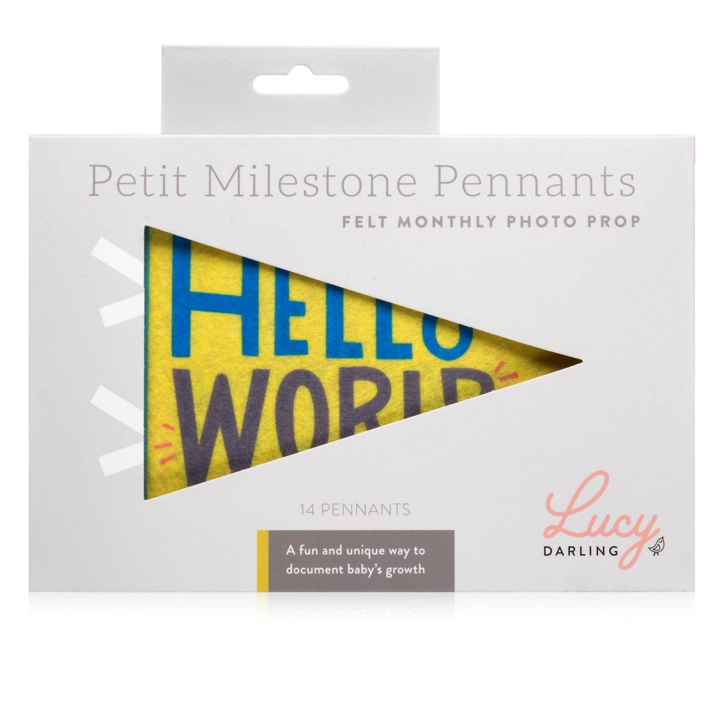 Little Kaleidoscope Baby Milestone Pennant